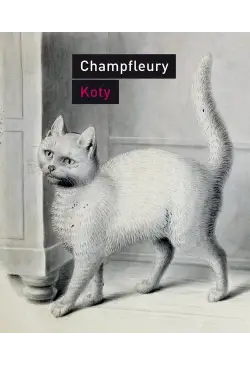 Koty