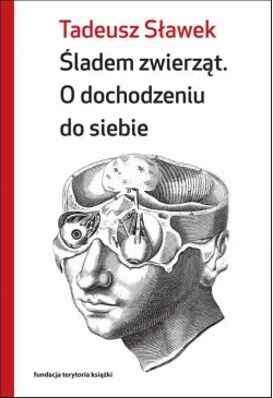 Śladem zwierząt