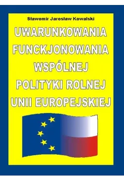Uwarunkowania...