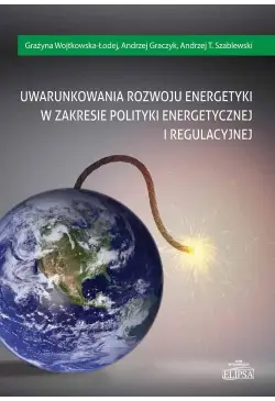 Uwarunkowania rozwoju...