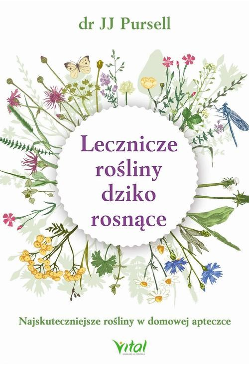 Lecznicze rośliny dziko rosnące. Najskuteczniejsze rośliny w domowej apteczce