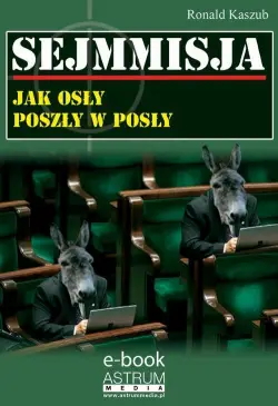 Sejmmisja