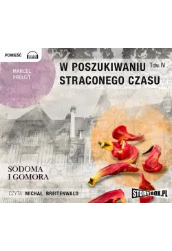 W poszukiwaniu straconego...