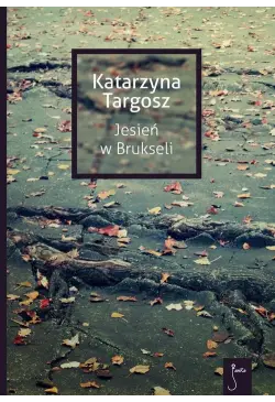 Jesień w Brukseli