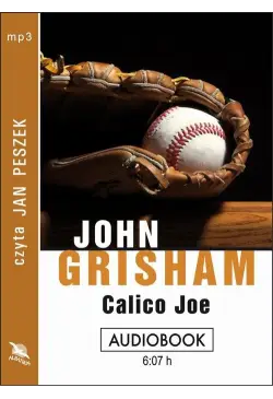 Calico Joe