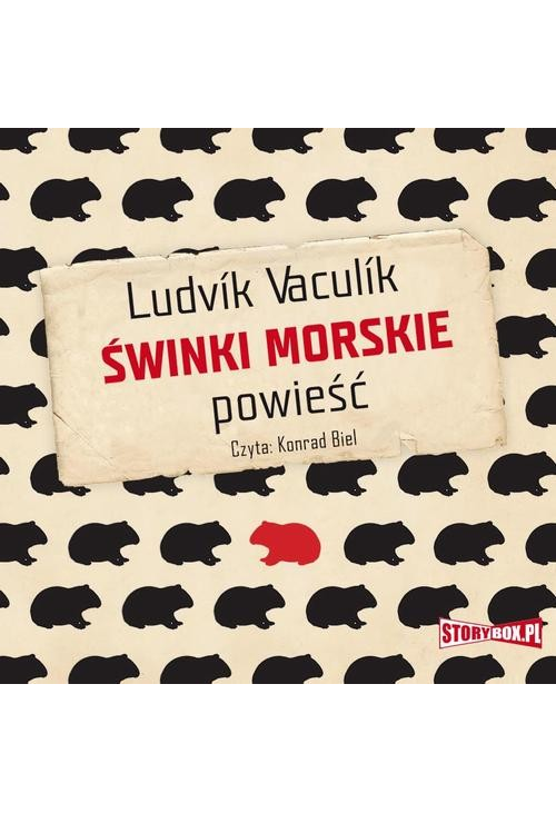 Świnki morskie