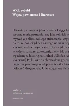 Wojna powietrzna i literatura