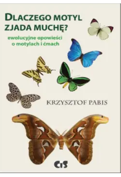 Dlaczego motyl zjada muchę