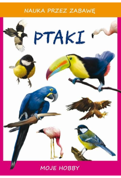Ptaki