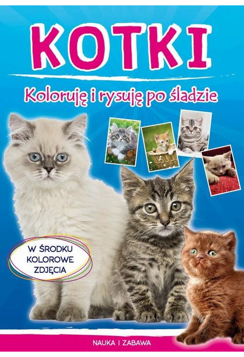 Kotki. Koloruję i rysuję po śladzie