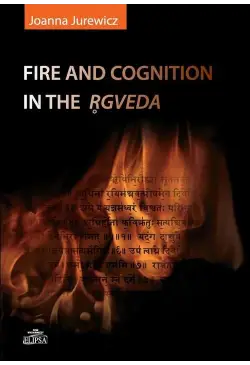 Fire and cognition in the...