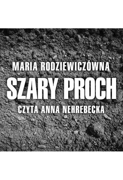 Szary proch