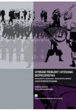 Wybrane problemy i wyzwania...