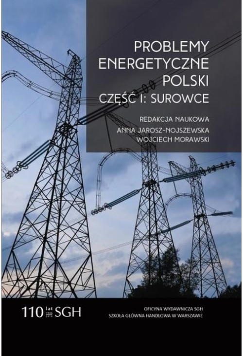 Problemy energetyczne Polski. Część I. Surowce