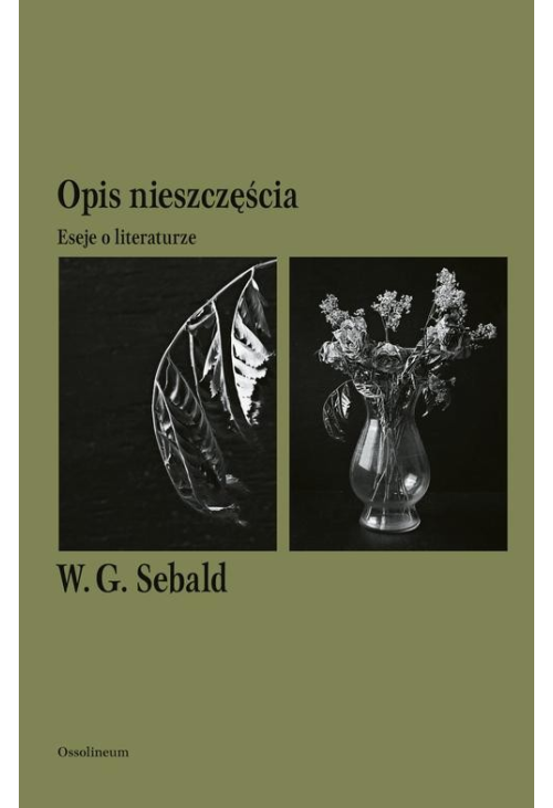 Opis nieszczęścia. Eseje o literaturze