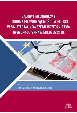 Sądowe mechanizmy ochrony...