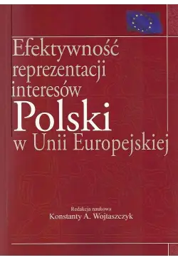Efektywność reprezentacji...
