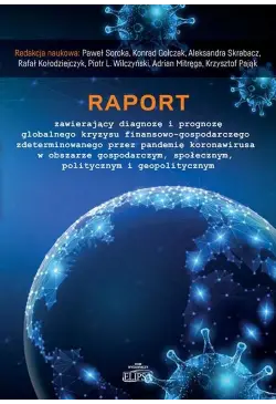 Raport zawierający diagnozę...