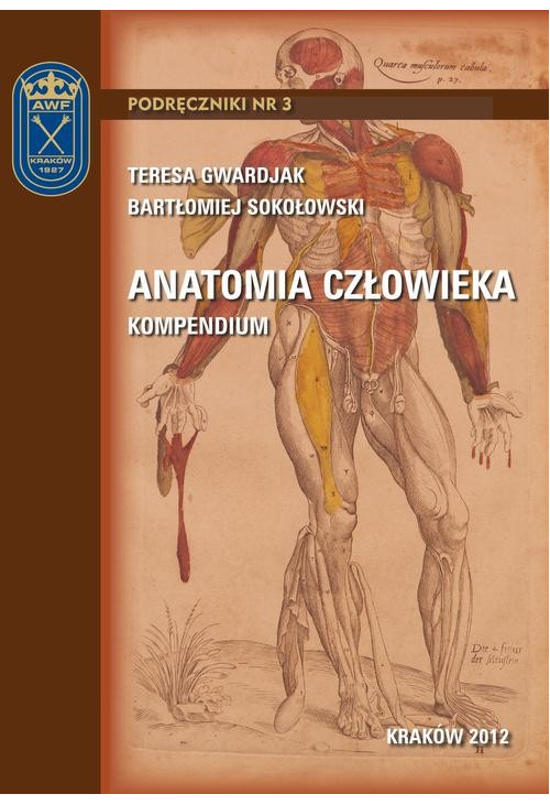 Anatomia człowieka - kompendium