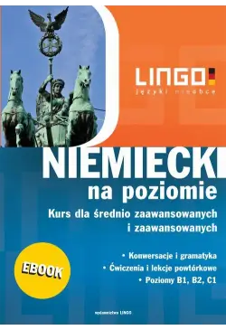 Niemiecki na poziomie