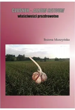 Czosnek  -  allium sativum...