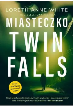 Miasteczko Twin Falls