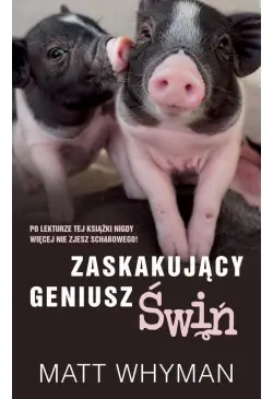 Zaskakujący geniusz świń