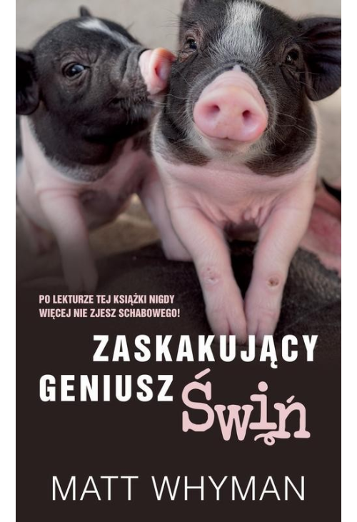 Zaskakujący geniusz świń