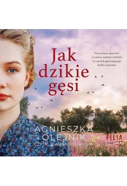 Jak dzikie gęsi