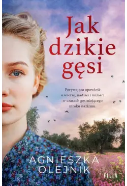 Jak dzikie gęsi