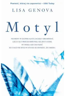 Motyl