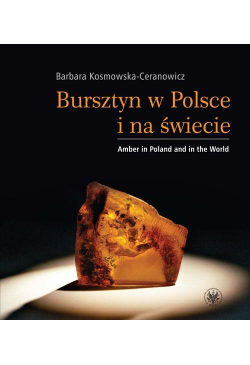 Bursztyn w Polsce i na...