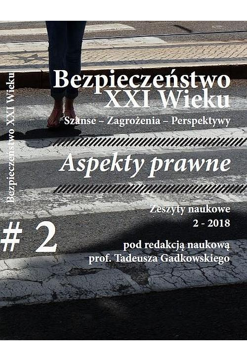 Bezpieczeństwo XXI Wieku Szanse Zagrożenia Perspektywy