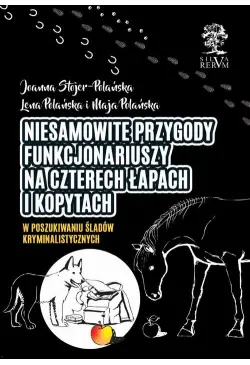 Niesamowite przygody...