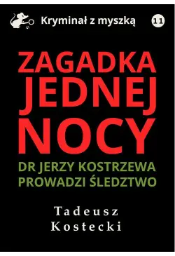 Zagadka jednej nocy