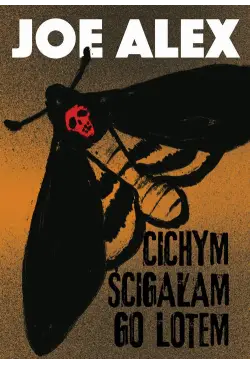 Cichym ścigałam go lotem