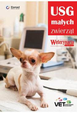 USG małych zwierząt