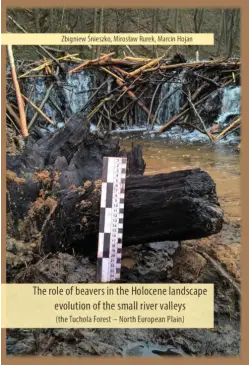 The role of beavers in the...