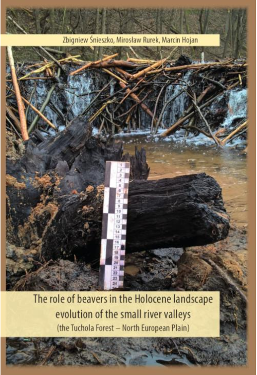 The role of beavers in the Holocene landscape evolution of the small river valleys (the Tuchola Forest – North European Plai...