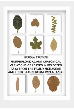 MORPHOLOGICAL AND...