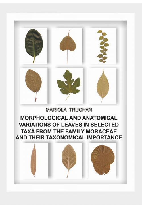 MORPHOLOGICAL AND ANATOMICAL VARIATIONS OF LEAVES IN SELECTED TAXA FROM THE FAMILY MORACEAE AND THEIR TAXONOMICAL IMPORTANCE