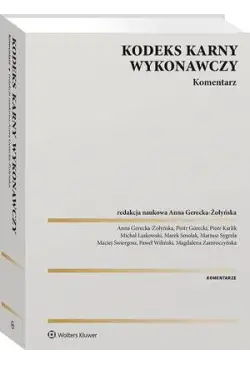 Kodeks karny wykonawczy....
