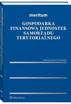 Meritum. Gospodarka...