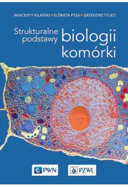Strukturalne podstawy...