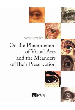 On the Phenomenon of Visual...