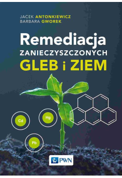 Remediacja...