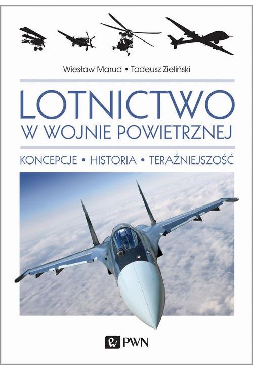 Lotnictwo w wojnie powietrznej