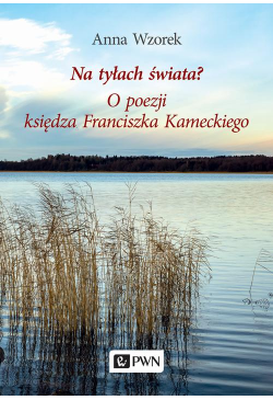 Na tyłach świata? O poezji...
