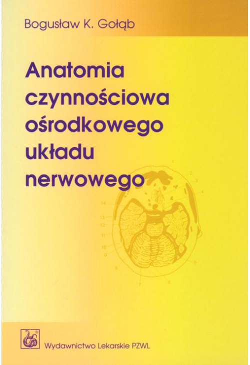 Anatomia czynnościowa ośrodkowego układu nerwowego