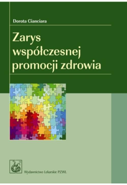 Zarys współczesnej promocji...
